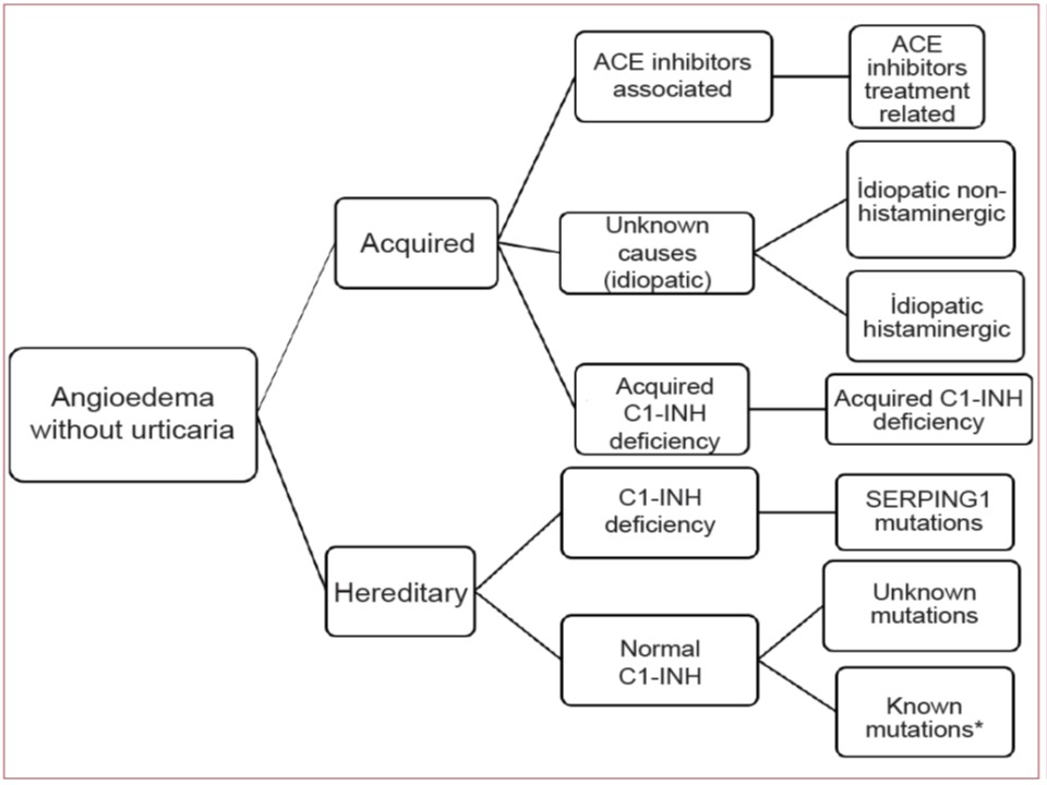Classification of angioedema without wheals